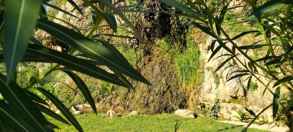 Molino Del Caracol Villa Benaoján Eksteriør billede