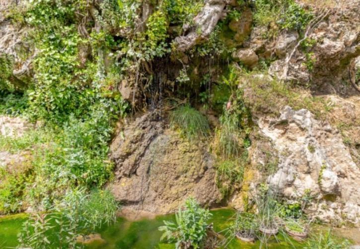Molino Del Caracol Villa Benaoján Eksteriør billede